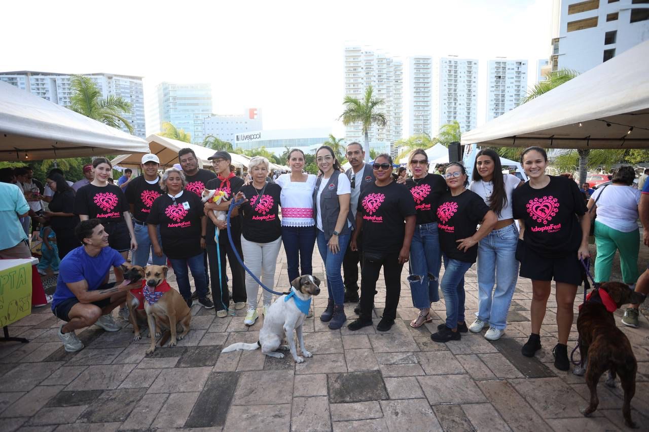 uploads/6/32/01 (521).Jpeg